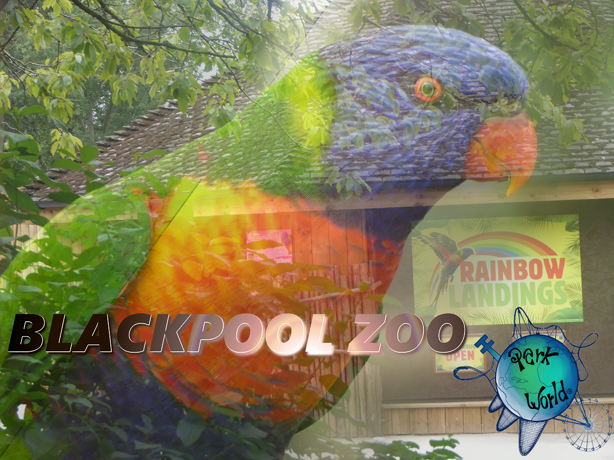Zoo Di Blackpool