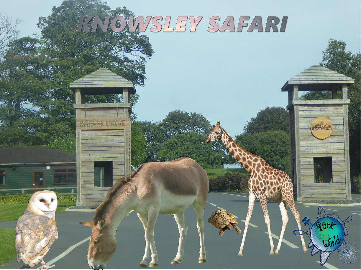 Knowsley Safari