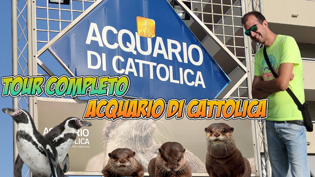 Acquario di Cattolica: tutto quello che devi sapere