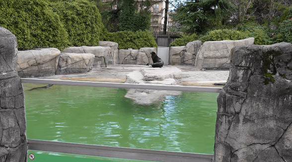Parco Faunistico le Cornelle 2025